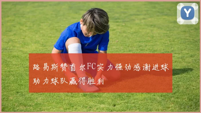 路易斯赞首尔FC实力强劲感谢进球助力球队赢得胜利