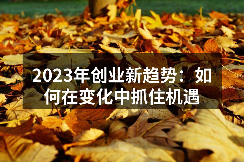 2023年创业新趋势：如何在变化中抓住机遇