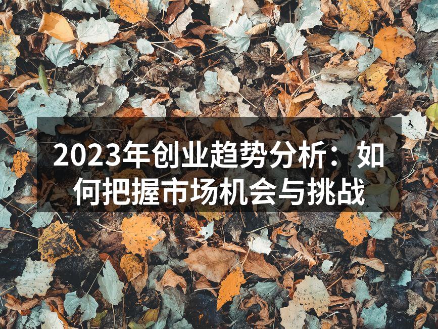 2023年创业趋势分析：如何把握市场机会与挑战